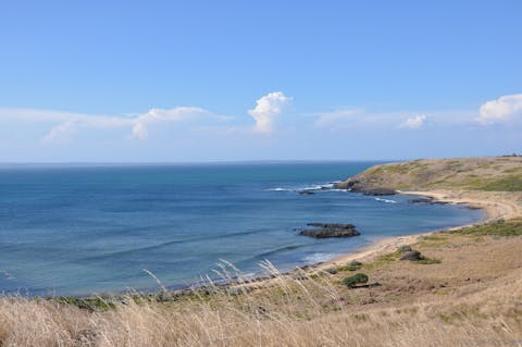 フィリップ島の写真が表示されています