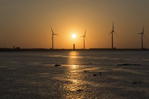 高美湿地の写真が表示されています