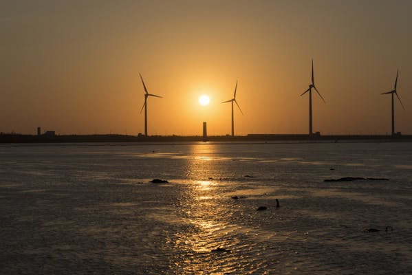 高美湿地の写真が表示されています
