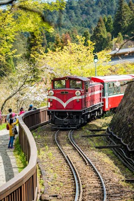 阿里山の写真が表示されています