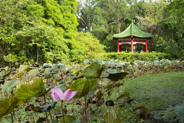 台北植物園の写真が表示されています