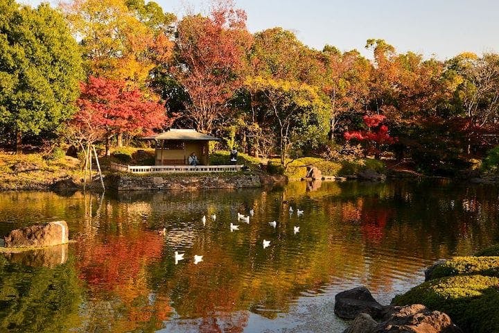 【2022年】白鳥庭園の紅葉