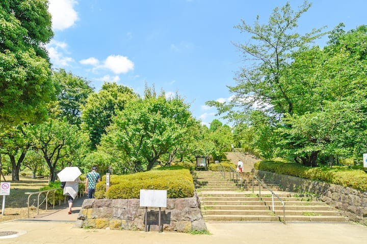 羽根木公園