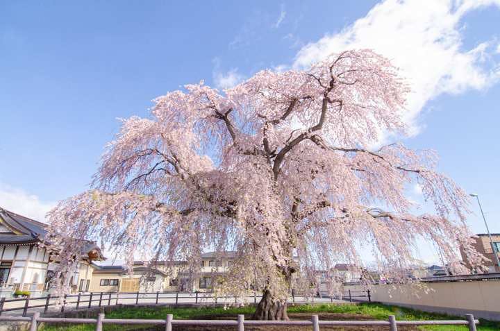 スポットの写真