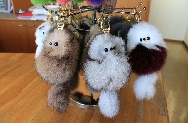 スポットの写真