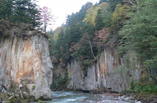 スポットの写真