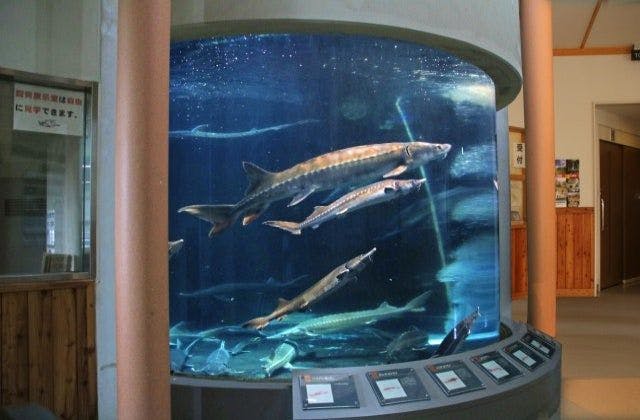 スポットの写真