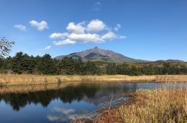 スポットの写真