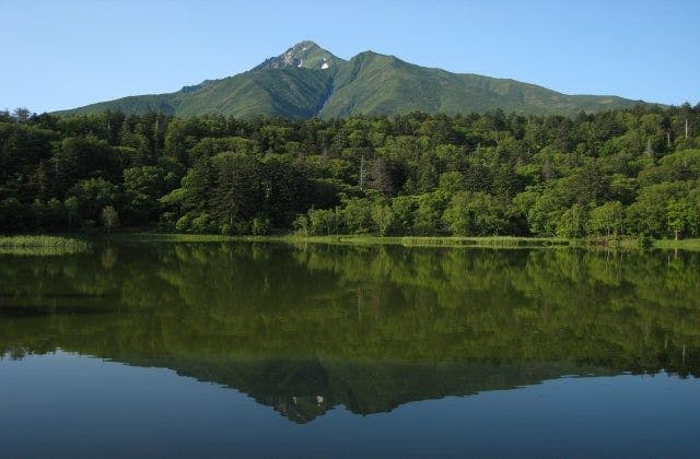 スポットの写真