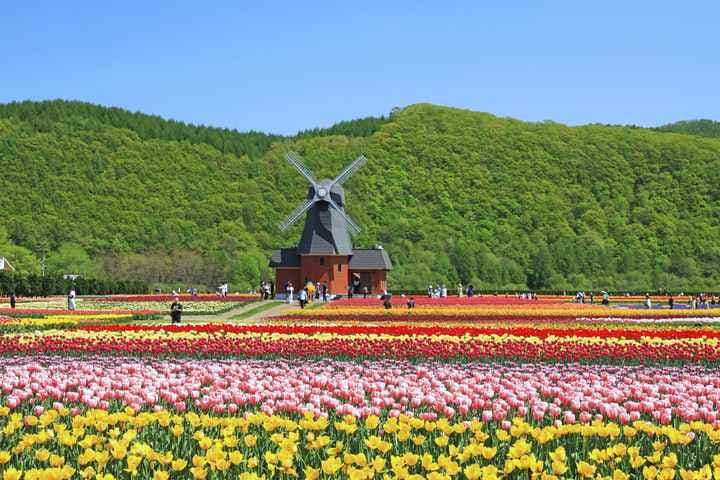 スポットの写真