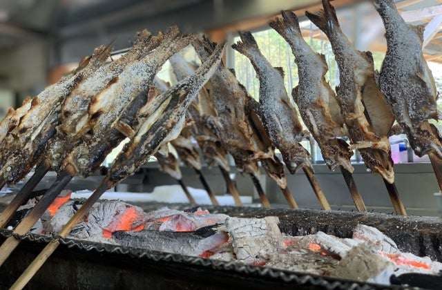 スポットの写真