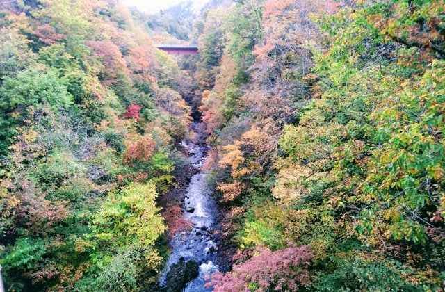 スポットの写真