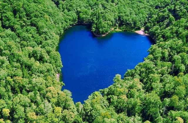 スポットの写真