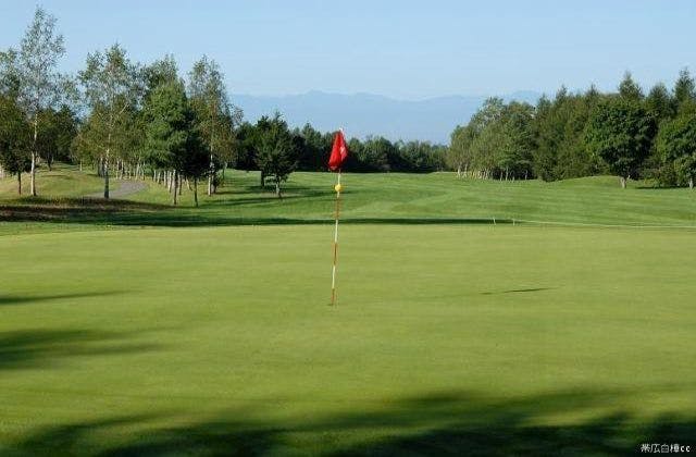 スポットの写真