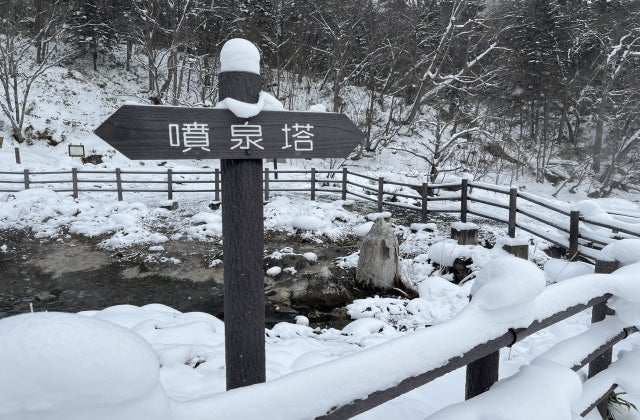 スポットの写真