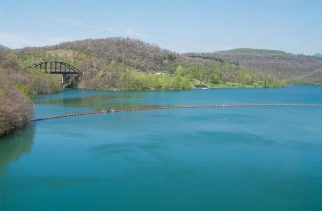 スポットの写真