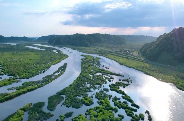 スポットの写真