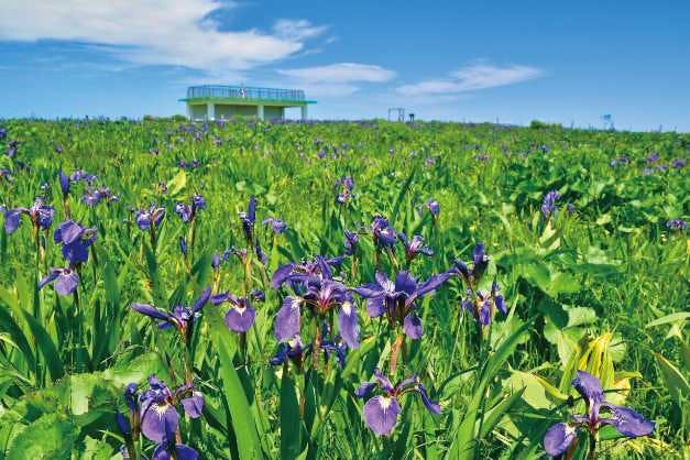 スポットの写真