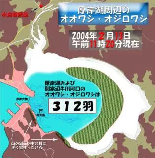 スポットの写真