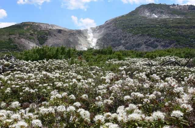 スポットの写真