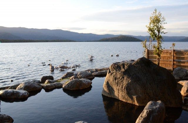 スポットの写真