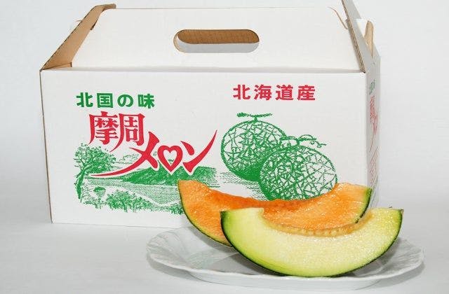 スポットの写真