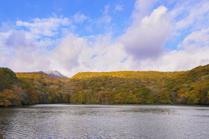 スポットの写真