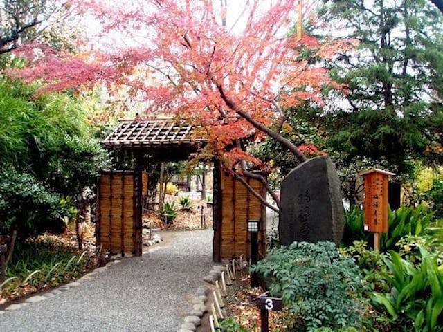 【2022年】向島百花園の紅葉