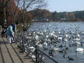 スポットの写真