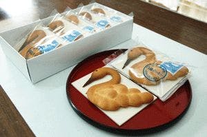 スポットの写真