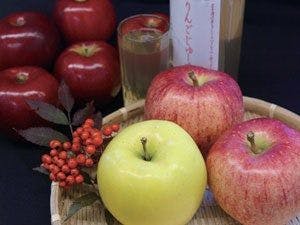 スポットの写真