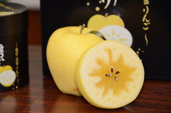 スポットの写真