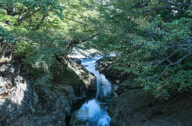 スポットの写真