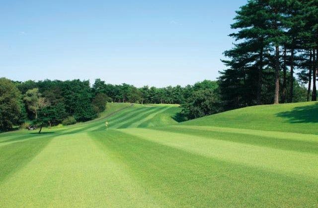 スポットの写真