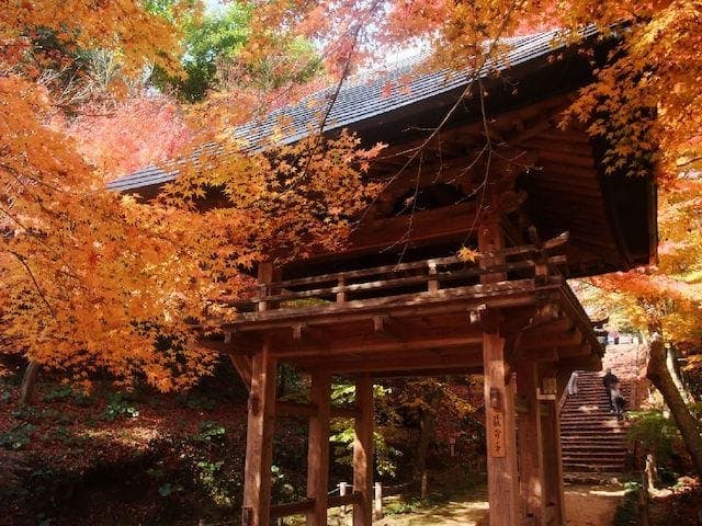 【2022年】両足寺の紅葉