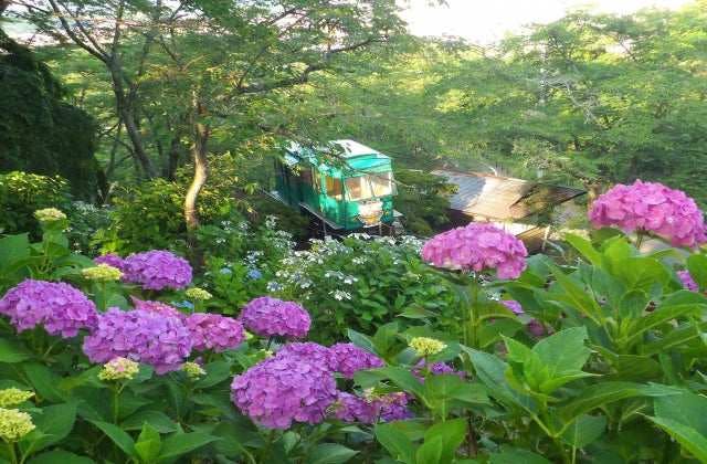 スポットの写真