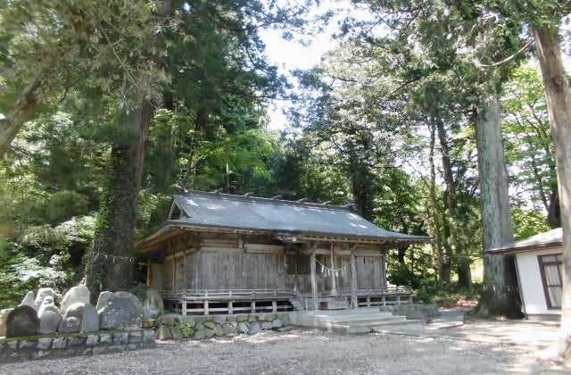 スポットの写真