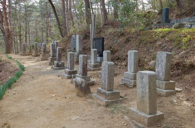 スポットの写真