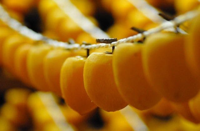 スポットの写真