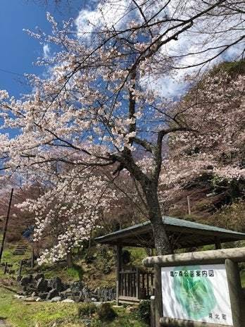 スポットの写真