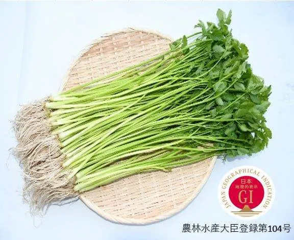 スポットの写真