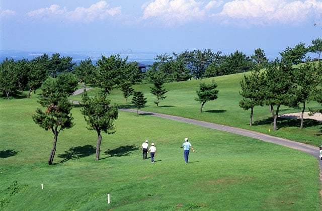 スポットの写真