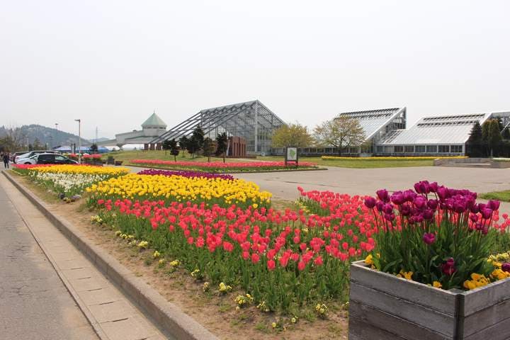 スポットの写真