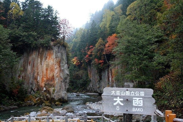 【2022年】層雲峡（大函）の紅葉