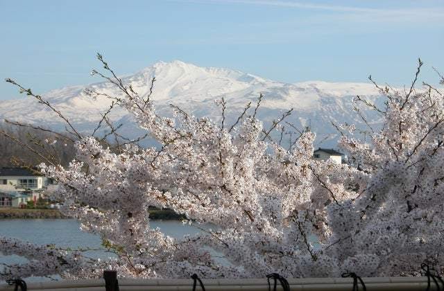 スポットの写真