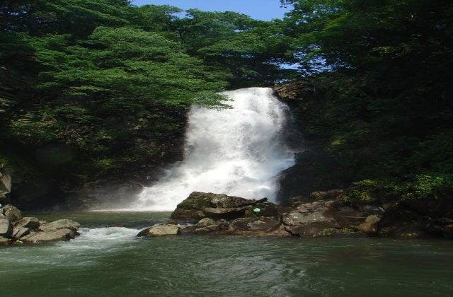 スポットの写真