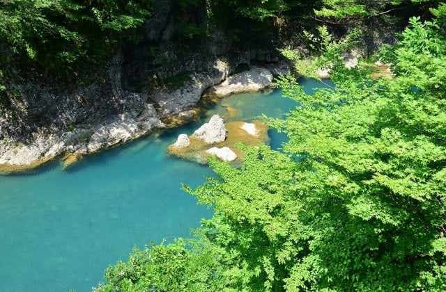 スポットの写真