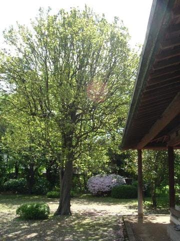 風間家旧別邸庭園