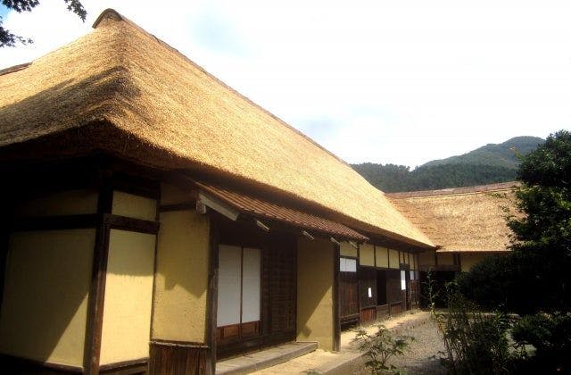 スポットの写真