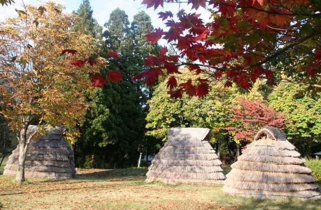 スポットの写真